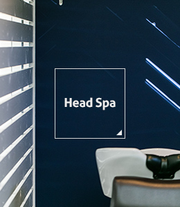 Head Spa